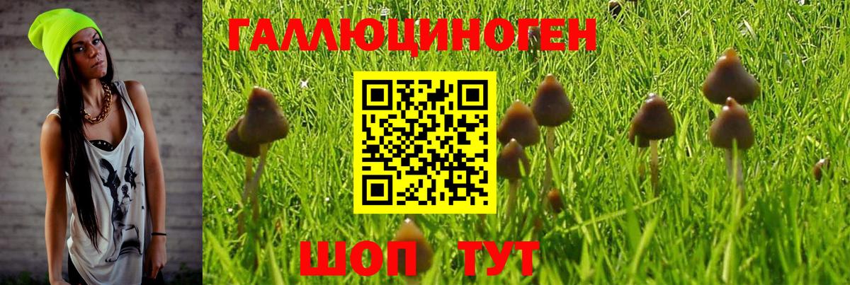 Псилоцибиновые грибы GOLDEN TEACHER  Вход с VPN  Ливны 